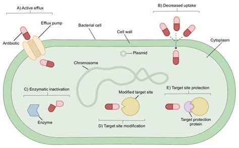 Current and Emerging Treatment Options for Multidrug Resistant ...