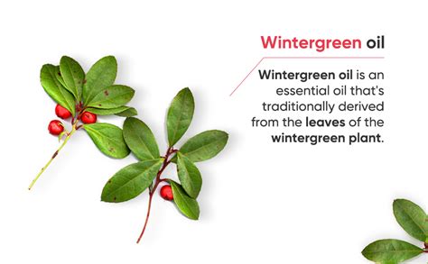 Naturalis Essence of Nature Gaultheria Essential Oil (Wintergreen ...