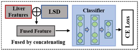 A Hierarchical Siamese Network for Noninvasive Staging of Liver ...