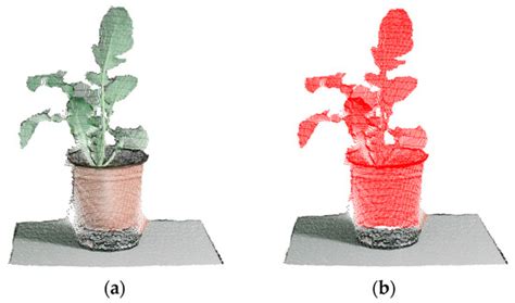 Optimization of 3D Point Clouds of Oilseed Rape Plants Based on Time-of ...