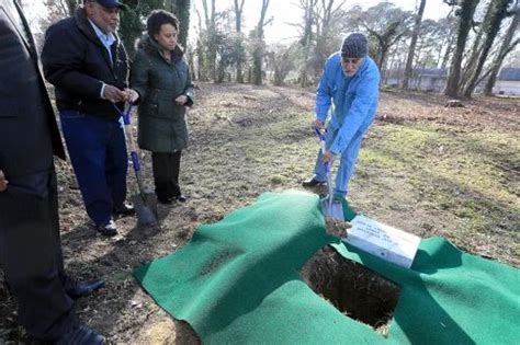 Tmt Rebar - Rcc Rebaring Service Service Provider from Pune