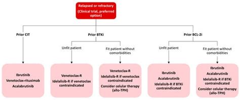 Chronic Lymphocytic Leukemia | Encyclopedia MDPI
