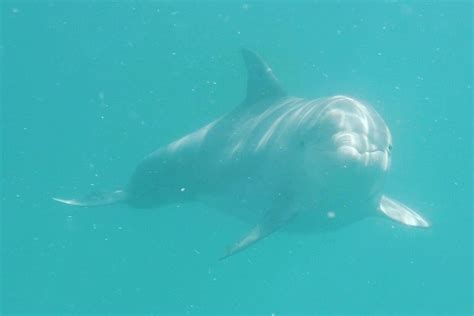 PARADISE EXCURSIONS PCB,LLC Guide (2026) All You Need to Know BEFORE ...