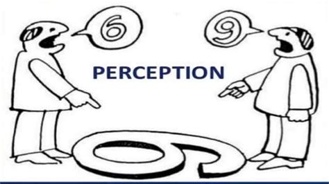 Perception Tutorial 的图像结果