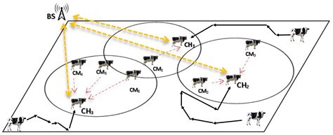 Phase-Type Distributions of Animal Trajectories with Random Walks