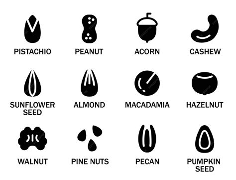 Set aus verschiedenen Nüssen und Samen Set aus Nüssen mit ihren Namen ...
