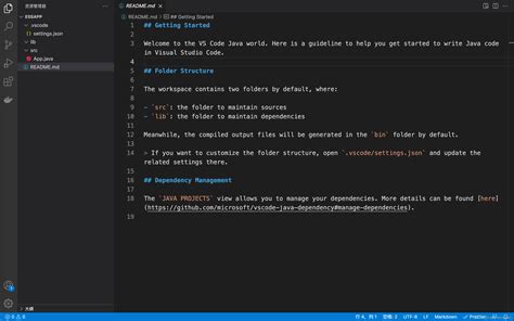 +How to Write Java Code in Vscode 的图像结果