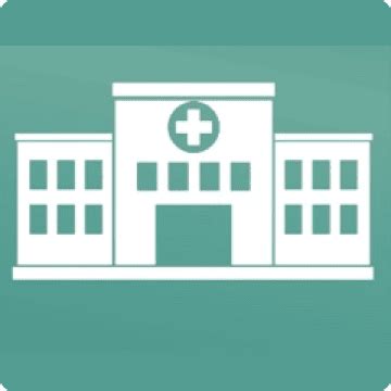 Palak | Insightmedhub