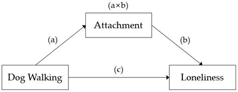 Influences of Dog Attachment and Dog Walking on Reducing Loneliness ...