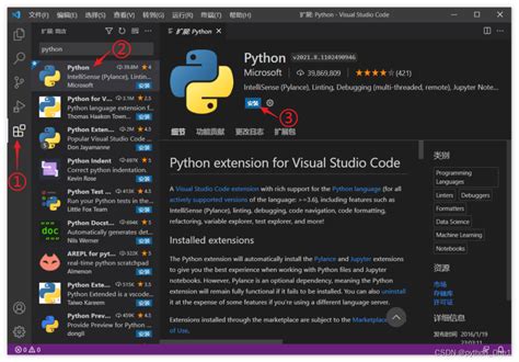Vscode Python Windows 的图像结果
