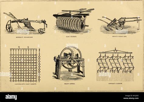 Old Agriculture 的图像结果