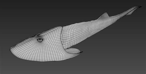 Image result for Extinct Fish Models