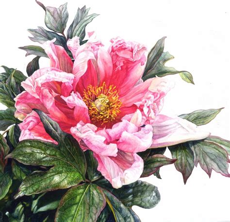 Rosie Sanders, Raise Me with Sunrise, 2025 | Jonathan Cooper