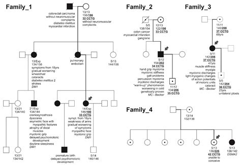 Characterisation of Non-Pathogenic Premutation-Range Myotonic Dystrophy ...