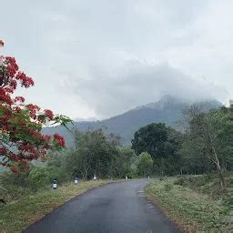 Best Top Rated Tourist information center in Muthalamada South, Kerala ...