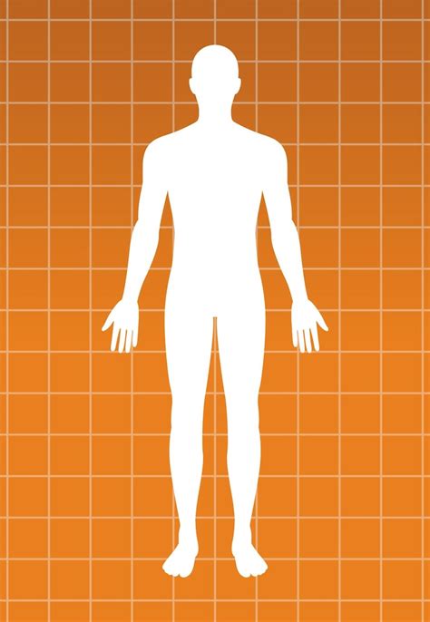 Figura humana Imagens – Download Grátis no Freepik