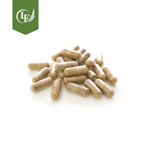 Top Quality Maca Root Capsules offered by Lyphar Free Sample Available