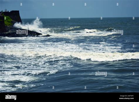 Sea Background 的图像结果