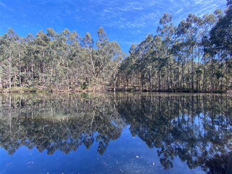 DAY RETREAT IN NATURE DWELLINGUP, River Rd, Dwellingup WA 6213 ...