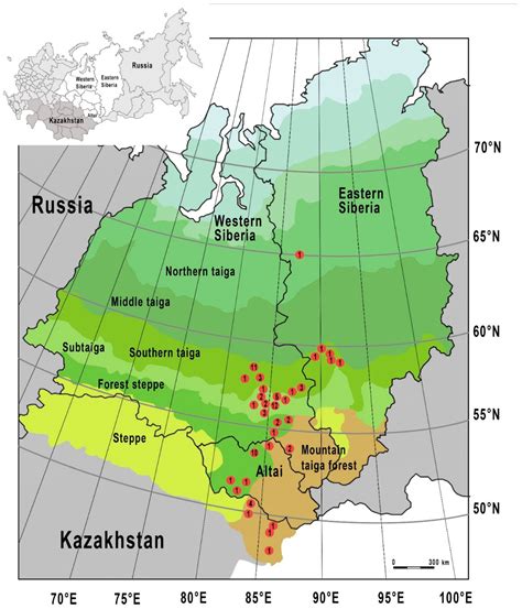 Prevalence of the Microsporidian Nosema spp. in Honey Bee Populations ...