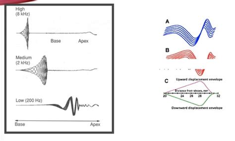 Image result for In-Ear Dynamic Systems Examples