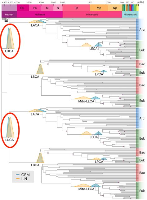 New paper puts the “last universal common ancestor”: the creature that gave rise to all living ...
