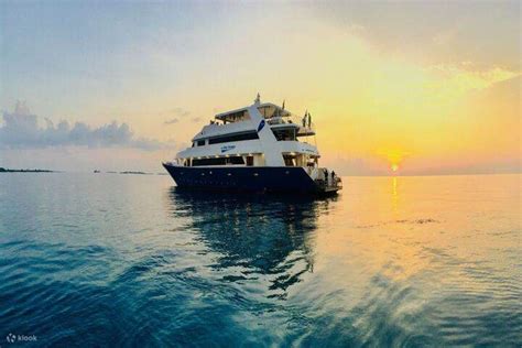 Port ghalib : Sataya Dolphin House Overnight - Klook India
