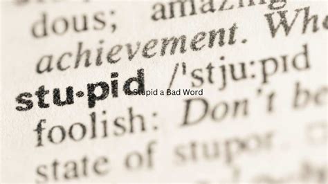 Is Stupid a Bad Word? - Studywatches.com