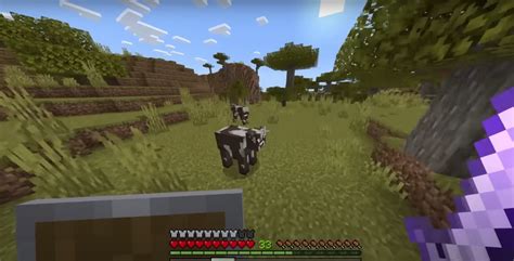 How to Play Minecraft Java with Bedrock 的图像结果