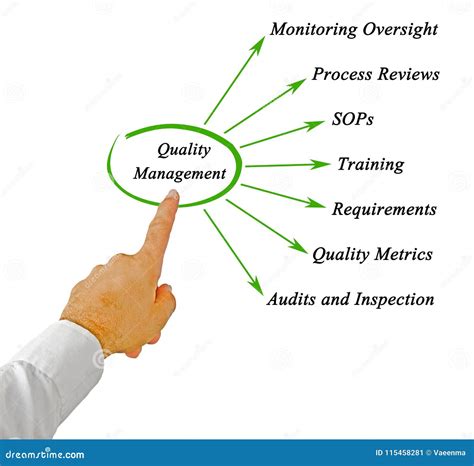 Components of Quality Management Stock Image - Image of quality, presenting: 115458281