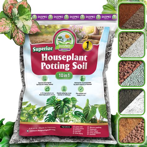 Amazon.com : Premium Houseplant Soil Mix for Indoor & Outdoor Plants ...