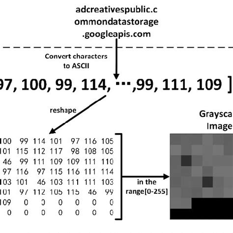 Process of Visualization 的图像结果