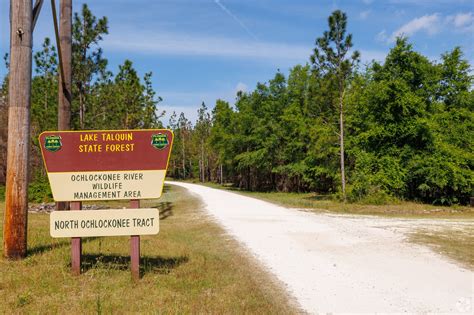 Hawks Rise Elementary School in Tallahassee, FL - Homes.com