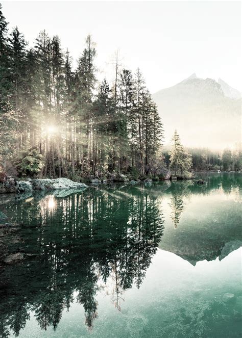 Calmed by Nature landscape poster | Poster Store CA