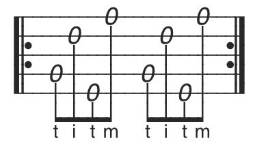 Image result for 4 String Beginner Banjo Lesson