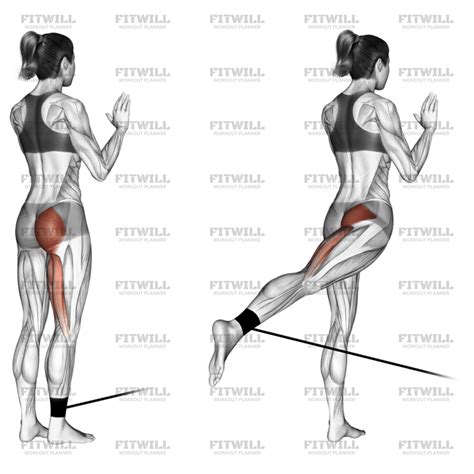 Band Standing Hip Extension: Exercise Guide, Video, Techniques ...