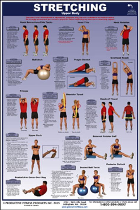 Stretching - Upper Body (non-laminated)