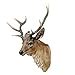 LuvBells™ Real Look Deer Head Wall Hanging Creative Styling Ornament ...