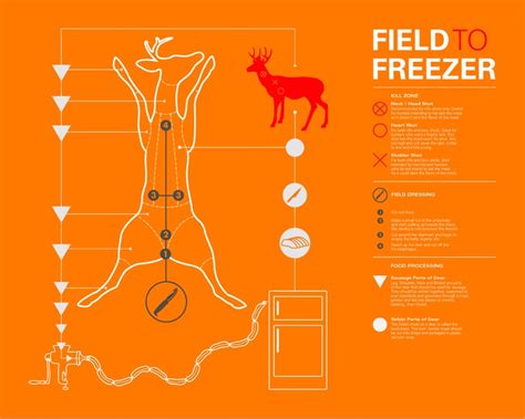 Field Dressing Birds 的图像结果