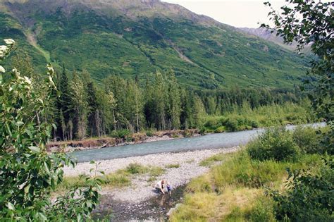 Russian River Alaska Campground: Book Your Alaskan Adventure