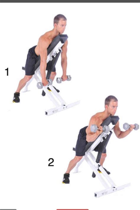 Image result for Exercices Musculation Bras