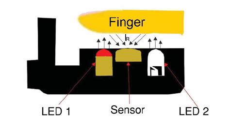 Image result for Diffuse Reflectance Probe