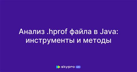 Java Hprof 的图像结果