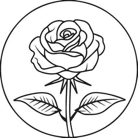 Image result for Use API in Code