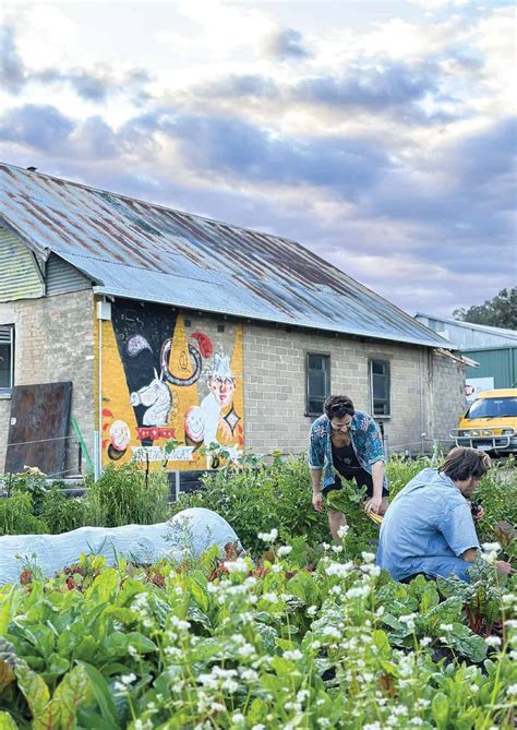 Community Information Co-operative 的图像结果