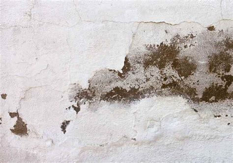 A Complete Guide on Home Interior Designing - Bonito Designs