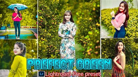 Bittu Ki Tech: Prefect green tone lightroom preset download