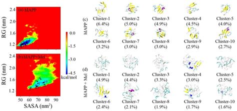 Melatonin Inhibits hIAPP Oligomerization by Preventing β-Sheet and ...