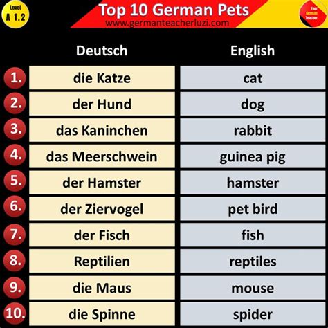 Image result for How to Learn German Language