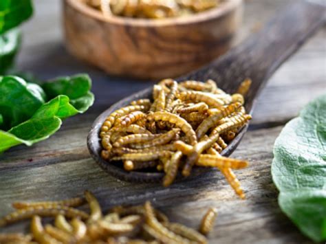 Latest Smartphones, Tech Deals, Gadget Reviews, Latest Tech News on ...